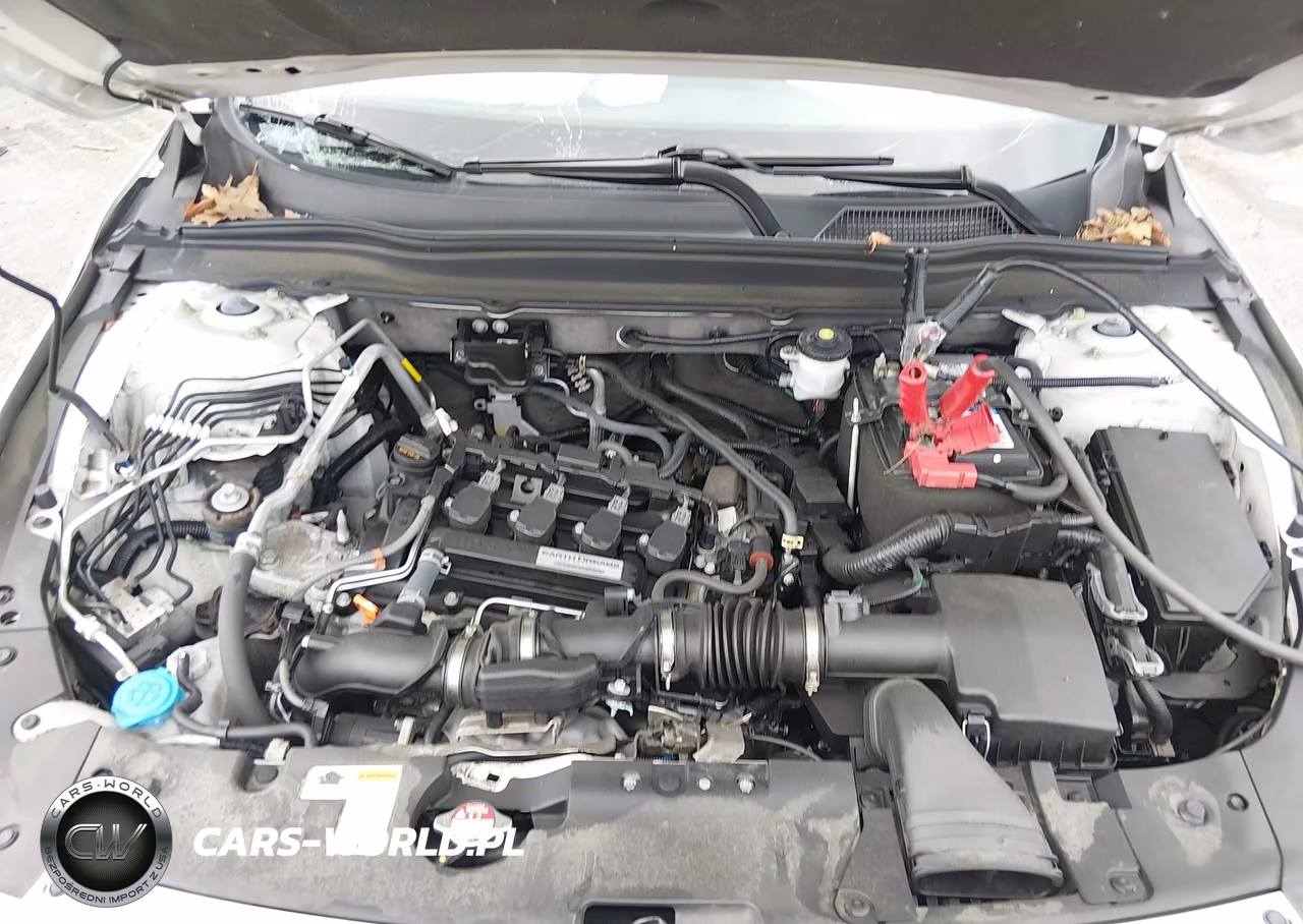 2019 Honda Accord Lx VIN:1HGCV1F15KA056812 - 10