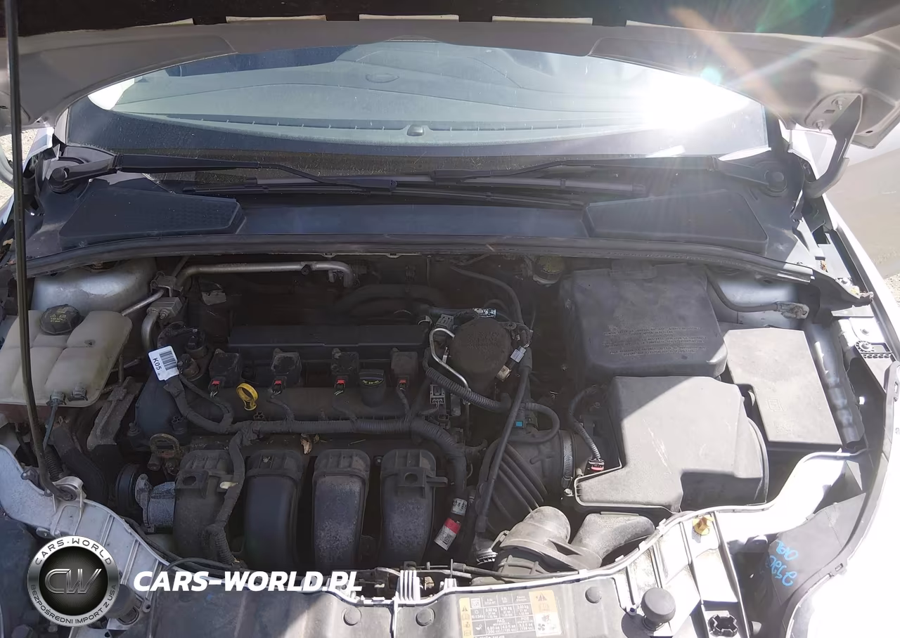 2014 Ford Focus Se VIN:1FADP3F26EL411454 - 10