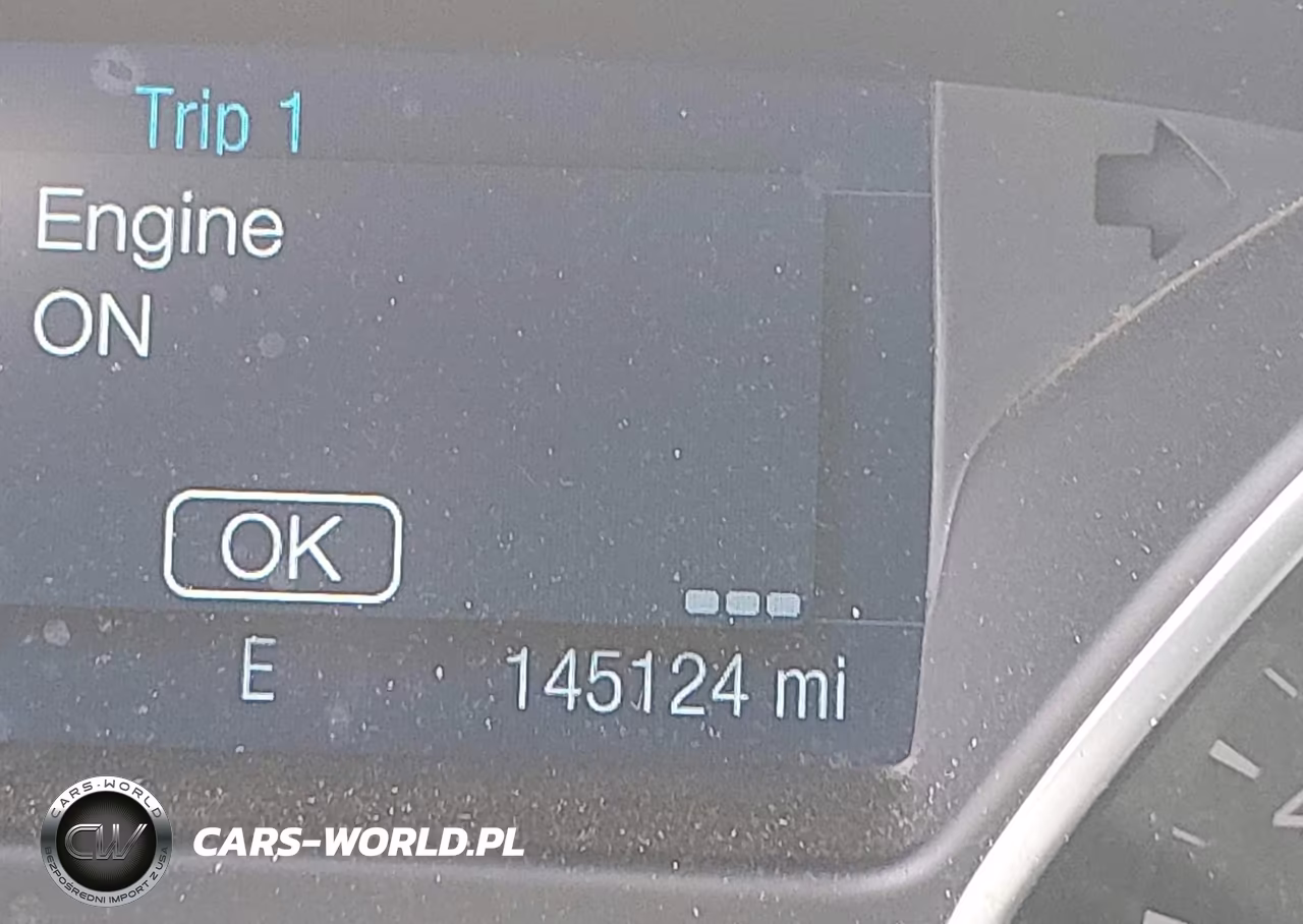2014 Ford Focus Se VIN:1FADP3F26EL411454 - 15