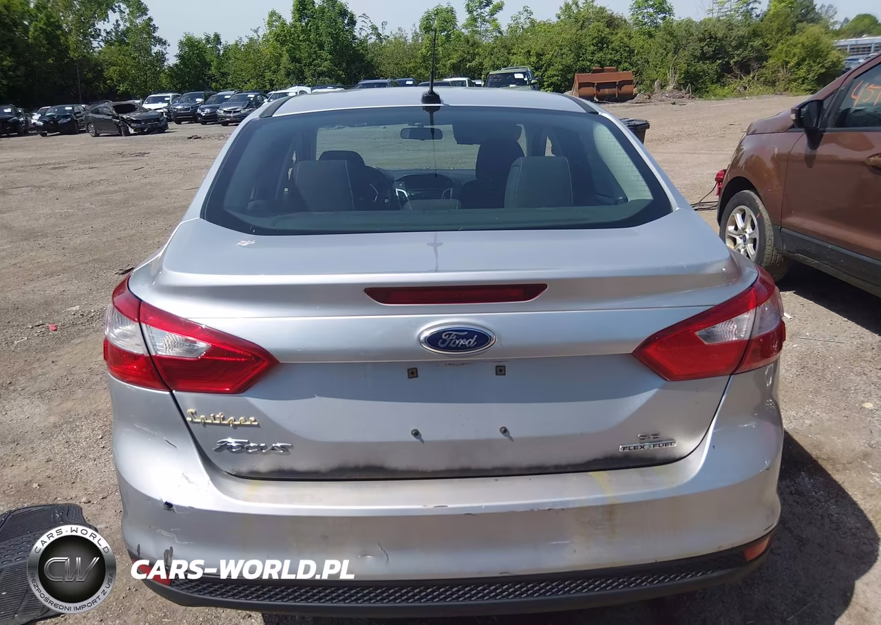 2014 Ford Focus Se VIN:1FADP3F26EL411454 - 16