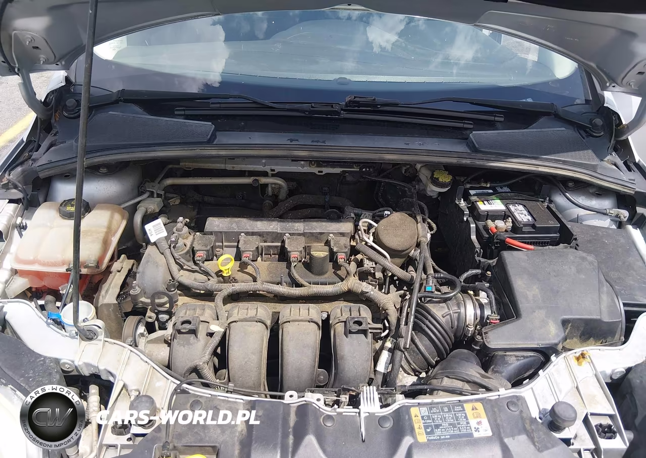2014 Ford Focus Se VIN:1FADP3F22EL428106 - 10
