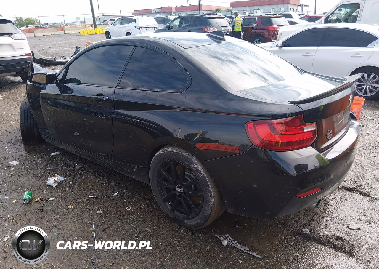2016 BMW M235I VIN:WBA1J7C58GV360080 - 3