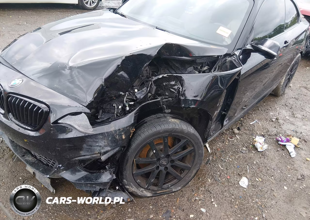 2016 BMW M235I VIN:WBA1J7C58GV360080 - 6