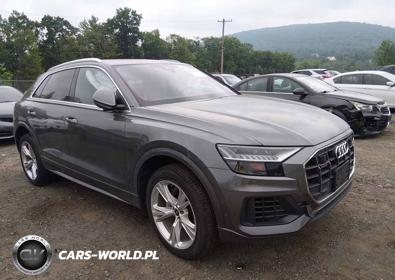 2023 Audi Q8 Premium 55 Tfsi Quattro Tiptronic VIN:WA1AVBF16PD008439 - 18