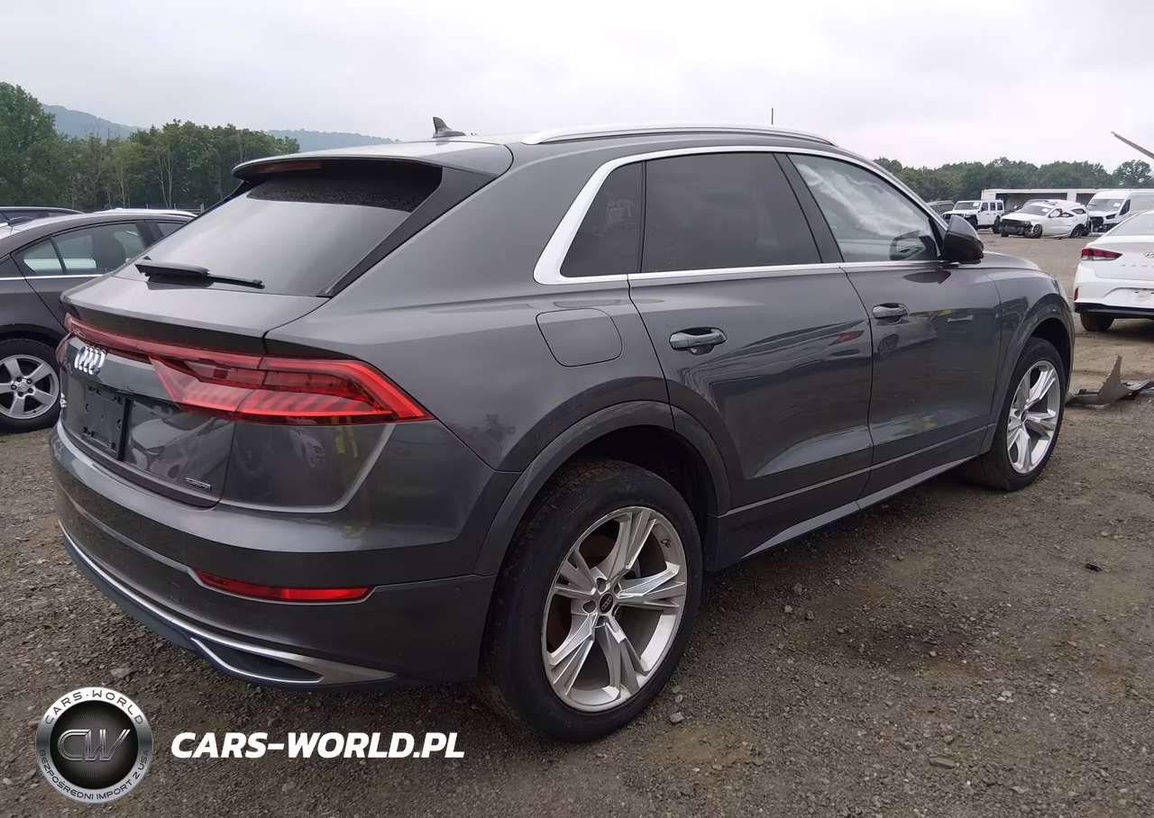 2023 Audi Q8 Premium 55 Tfsi Quattro Tiptronic VIN:WA1AVBF16PD008439 - 19
