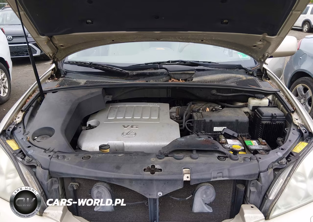 2007 Lexus Rx 350 VIN:2T2HK31U77C020497 - 10