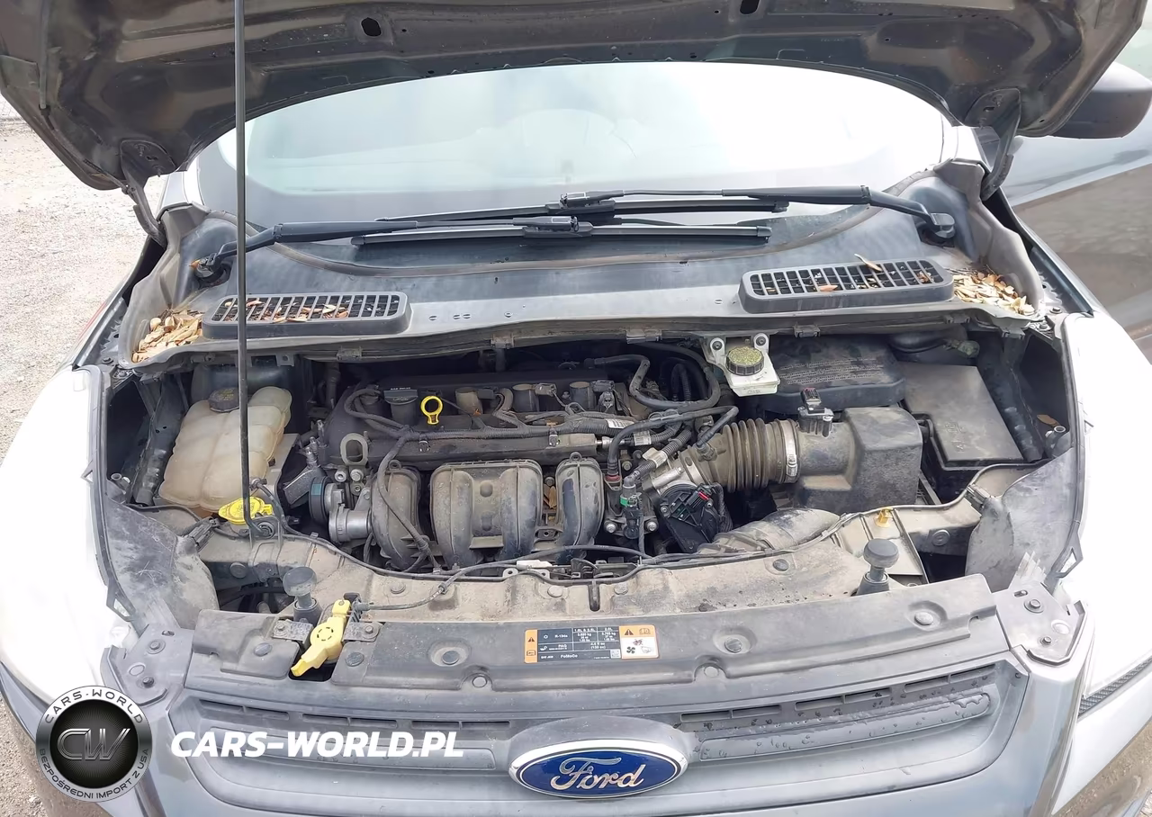 2015 Ford Escape S VIN:1FMCU0F79FUB93283 - 10