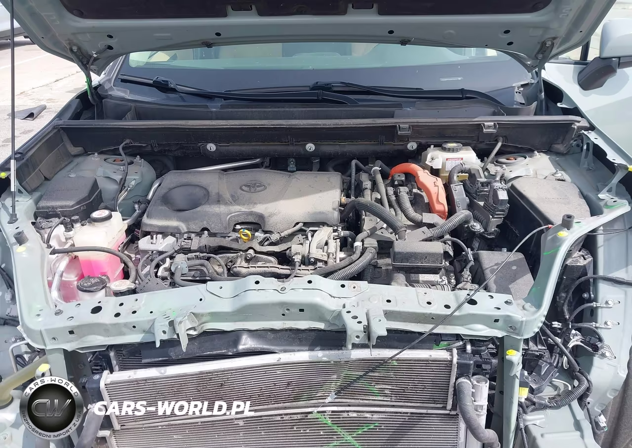 2019 Toyota Rav4 Hybrid Xle VIN:JTMRWRFV1KD027619 - 10