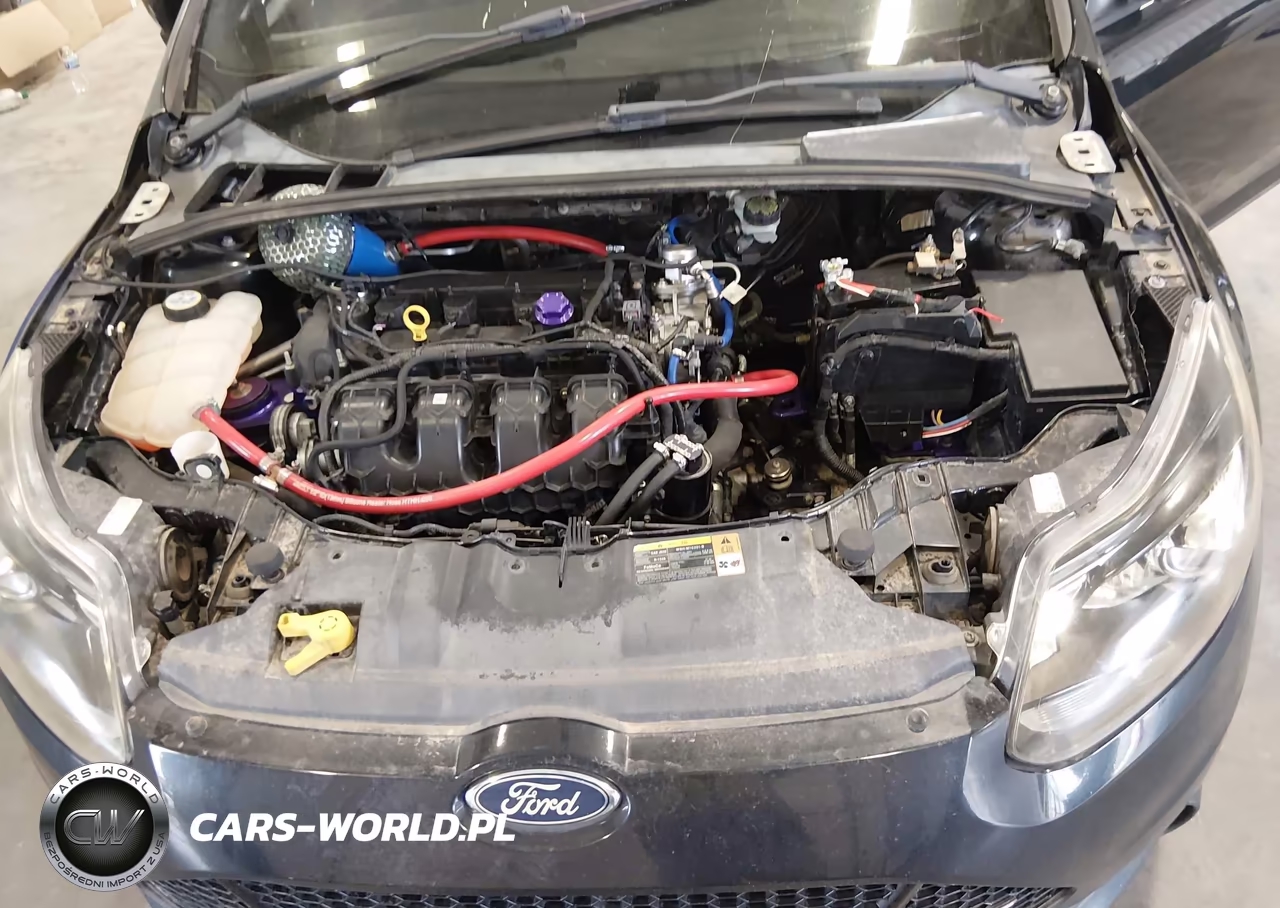 2013 Ford Focus St VIN:1FADP3L92DL324909 - 10