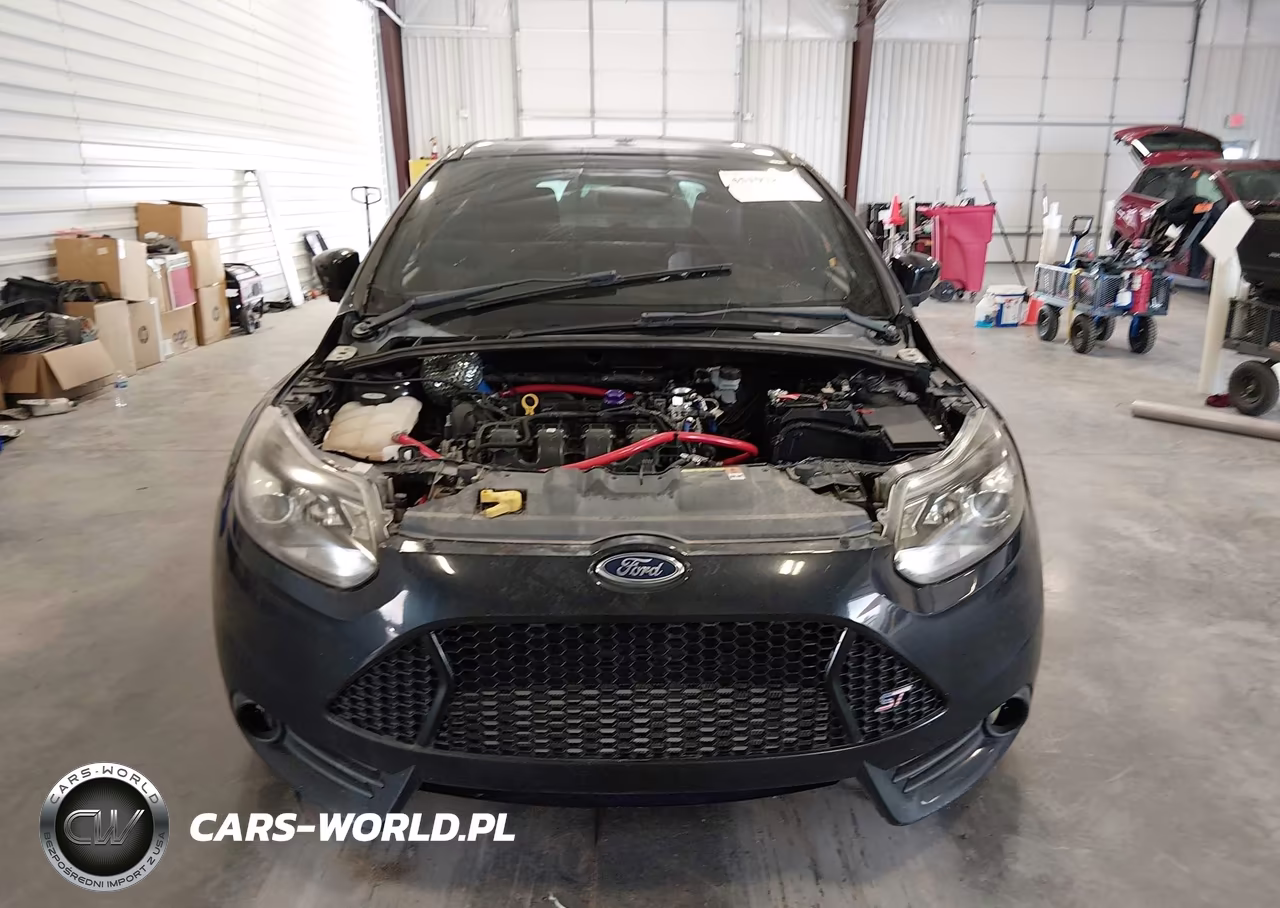 2013 Ford Focus St VIN:1FADP3L92DL324909 - 12