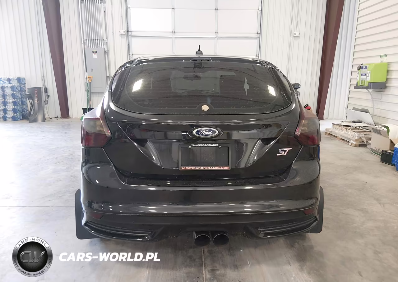 2013 Ford Focus St VIN:1FADP3L92DL324909 - 16