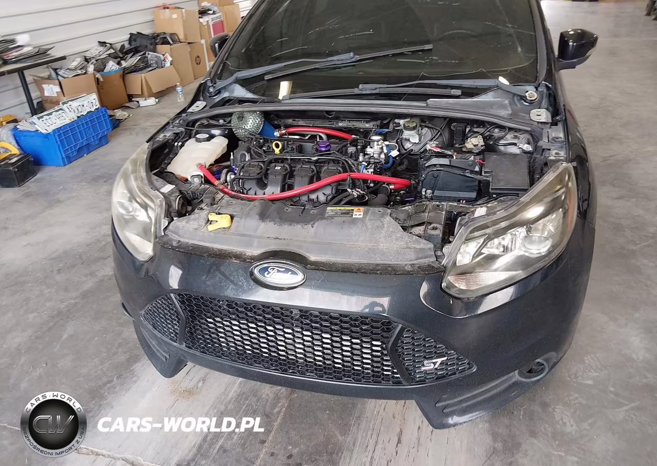 2013 Ford Focus St VIN:1FADP3L92DL324909 - 6