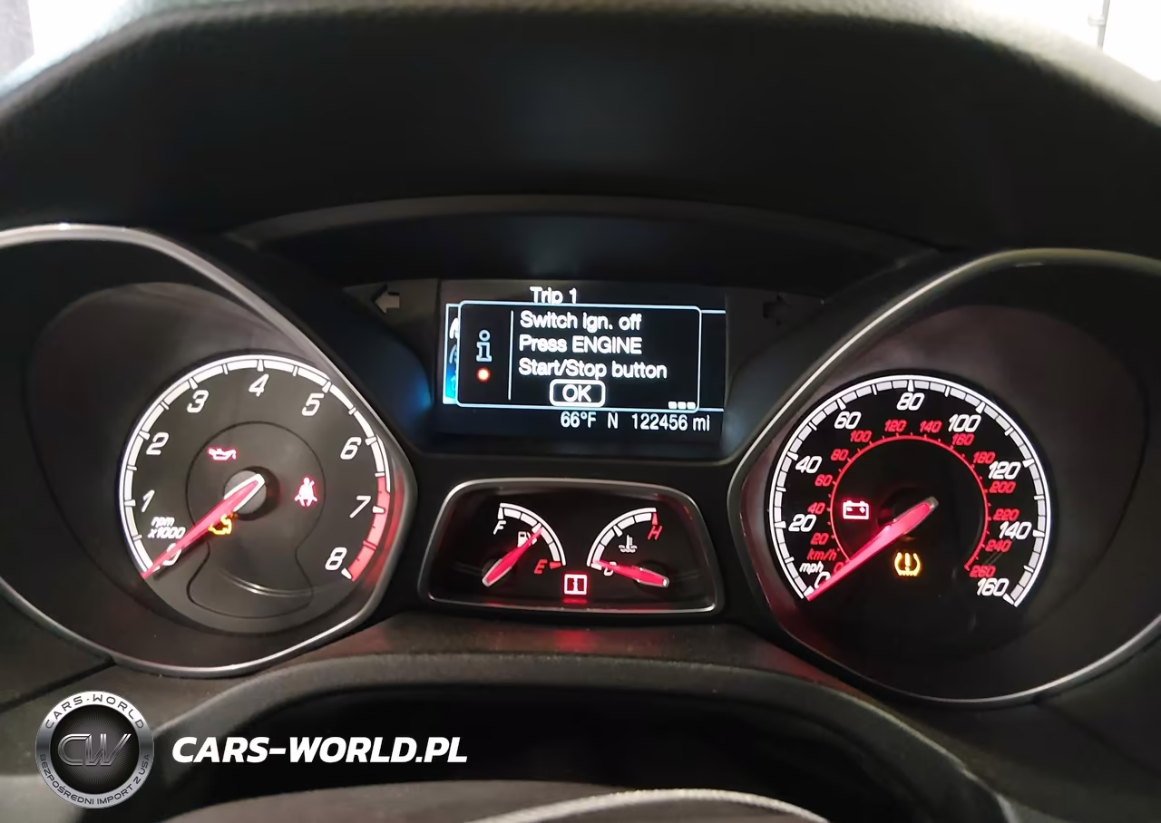2013 Ford Focus St VIN:1FADP3L92DL324909 - 7