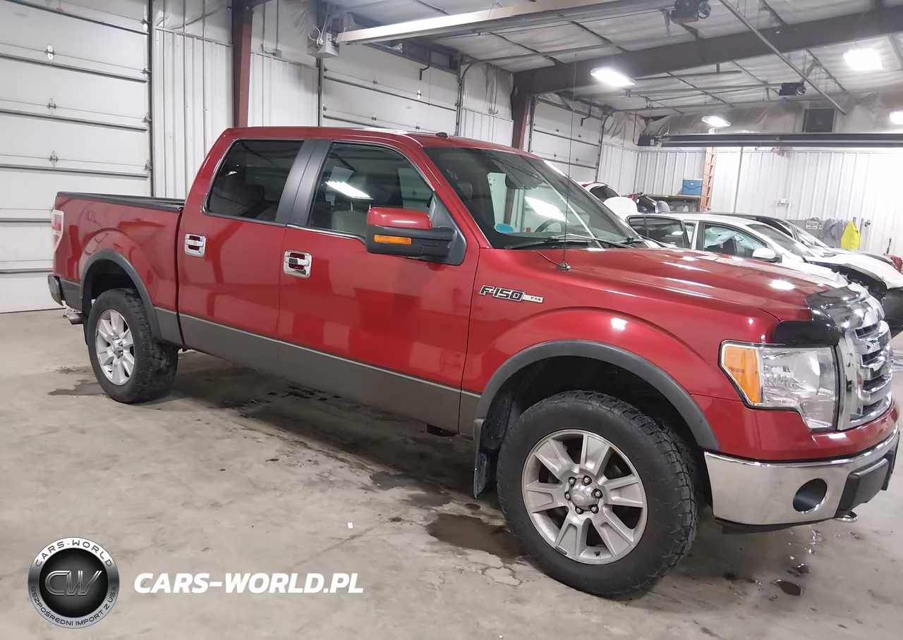 2009 Ford F-150 Fx4-King Ranch-Lariat-Platinum-Xl-Xlt