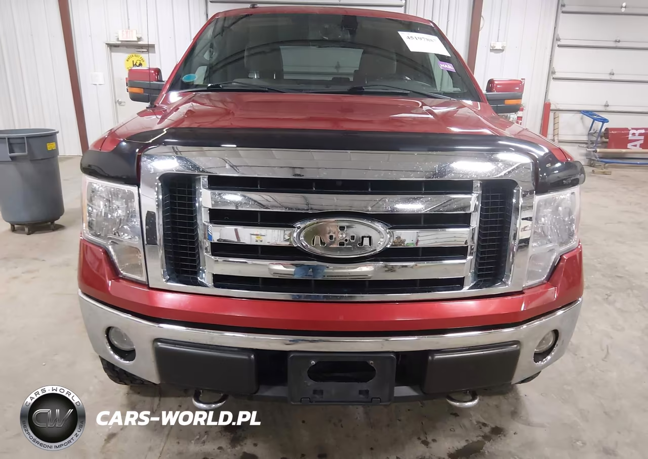 2009 Ford F-150 Fx4-King Ranch-Lariat-Platinum-Xl-Xlt VIN:1FTPW14V59FB01960 - 12