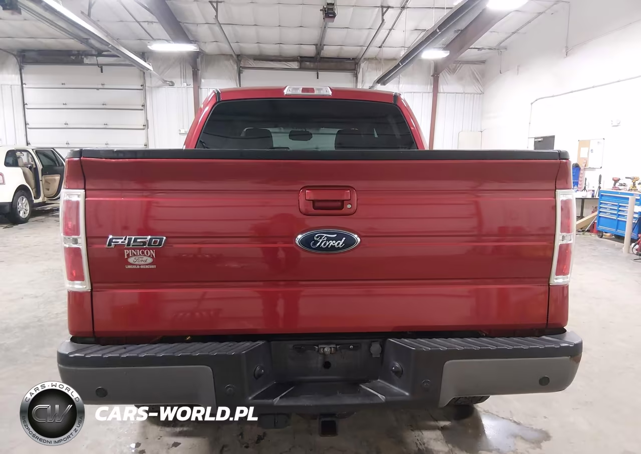 2009 Ford F-150 Fx4-King Ranch-Lariat-Platinum-Xl-Xlt VIN:1FTPW14V59FB01960 - 16