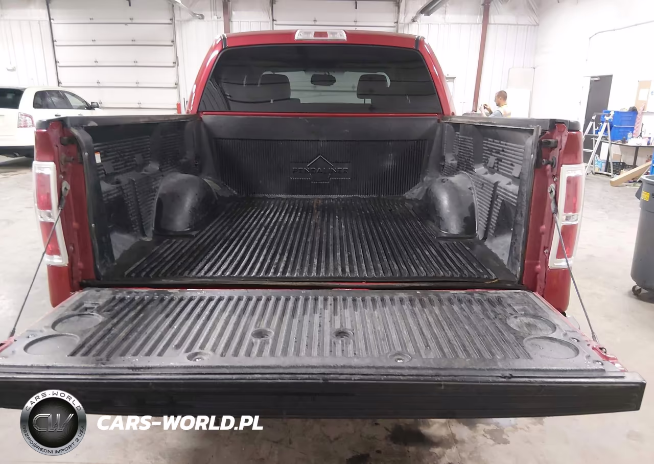2009 Ford F-150 Fx4-King Ranch-Lariat-Platinum-Xl-Xlt VIN:1FTPW14V59FB01960 - 17