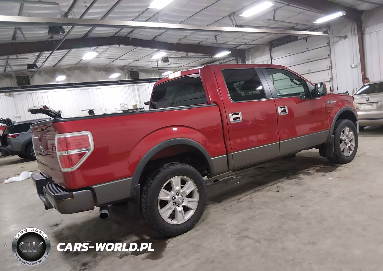 2009 Ford F-150 Fx4-King Ranch-Lariat-Platinum-Xl-Xlt VIN:1FTPW14V59FB01960 - 4