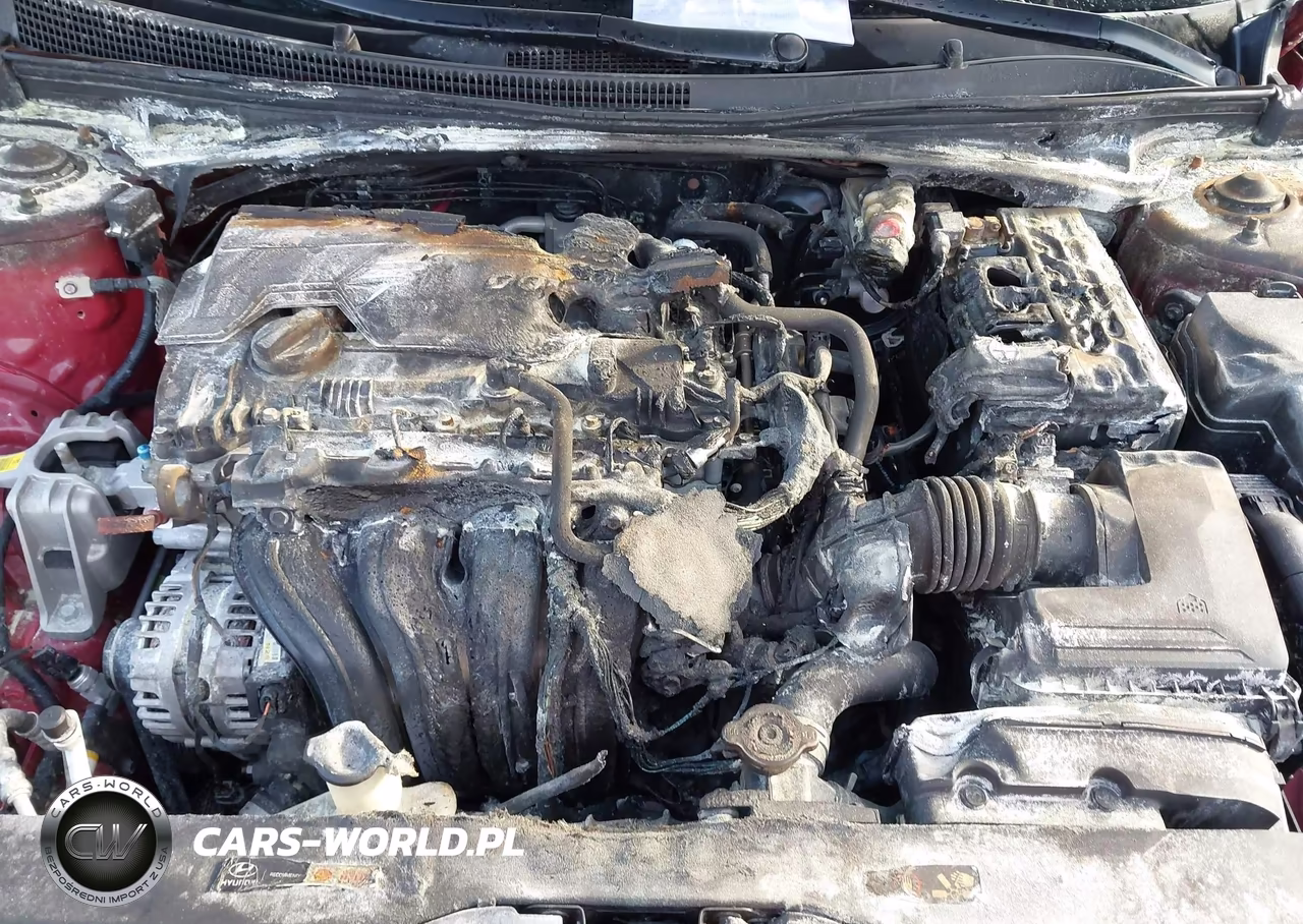 2024 Hyundai Elantra Sel VIN:KMHLS4DG9RU709632 - 10