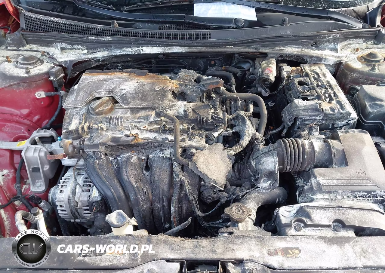 2024 Hyundai Elantra Sel VIN:KMHLS4DG9RU709632 - 6