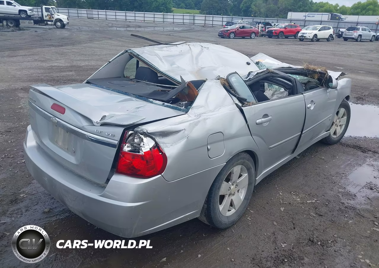 2006 Chevrolet Malibu Lt VIN:1G1ZT51896F110978 - 16