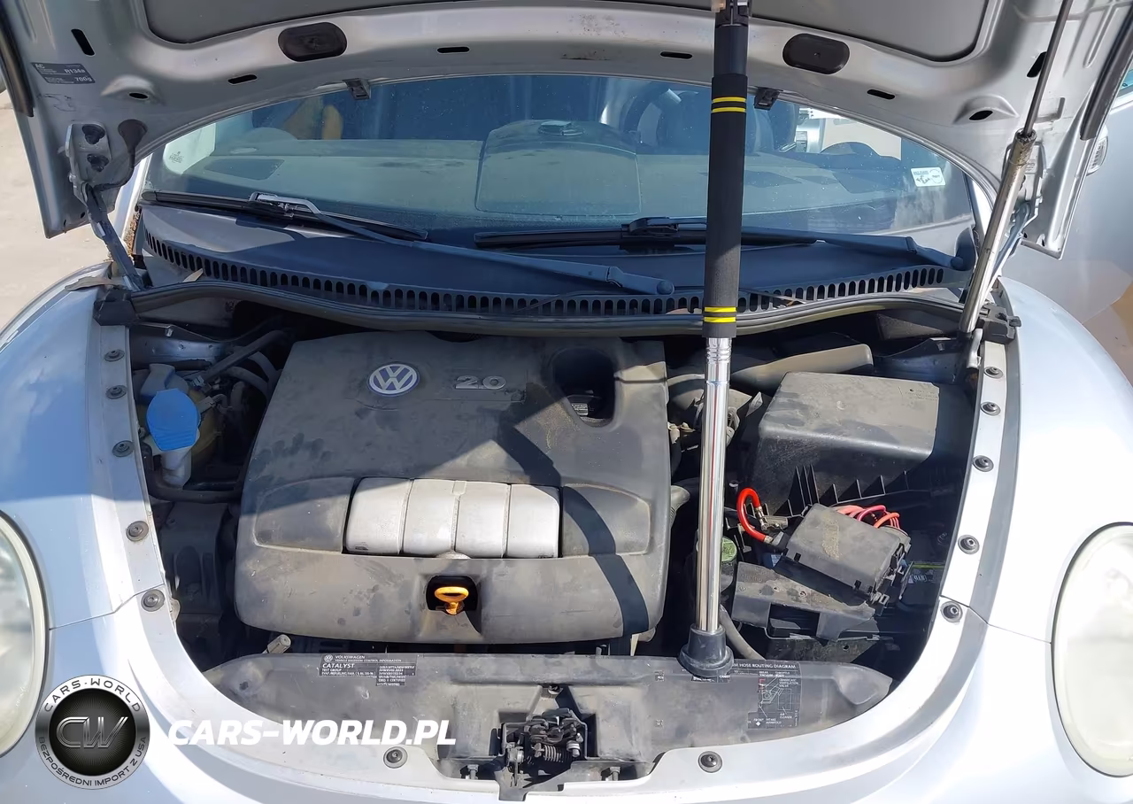 2003 Volkswagen New Beetle Gls VIN:3VWCK21Y03M300269 - 10