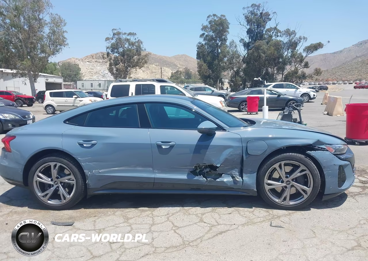 2024 Audi E-Tron Gt Premium Plus Quattro VIN:WAUFJBFW1R7004641 - 13
