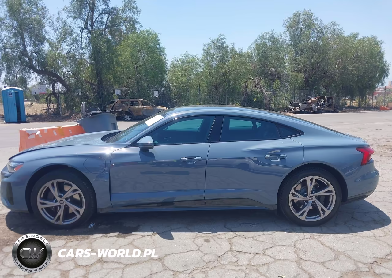 2024 Audi E-Tron Gt Premium Plus Quattro VIN:WAUFJBFW1R7004641 - 14