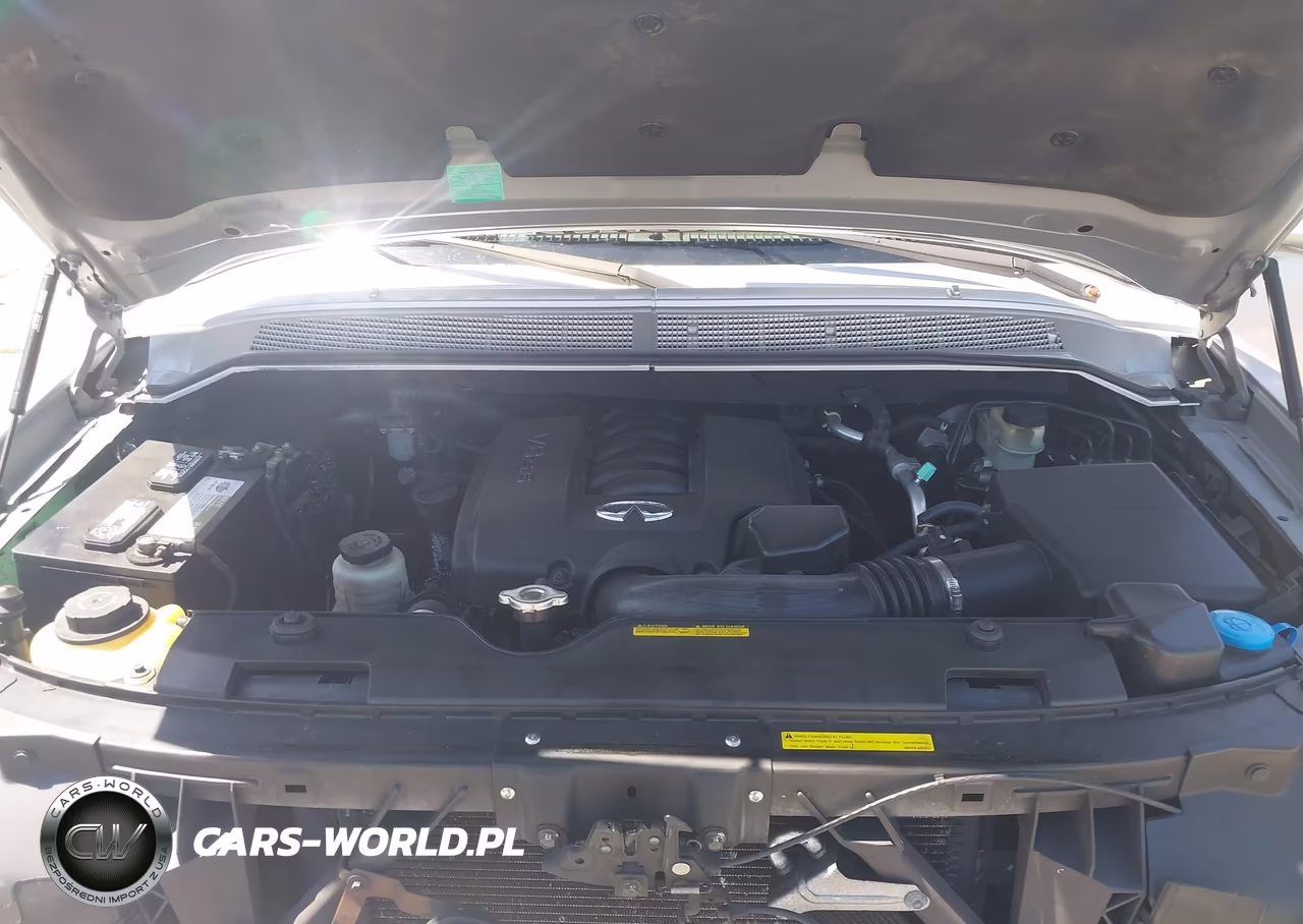 2005 Infiniti Qx56 VIN:5N3AA08A25N809236 - 10