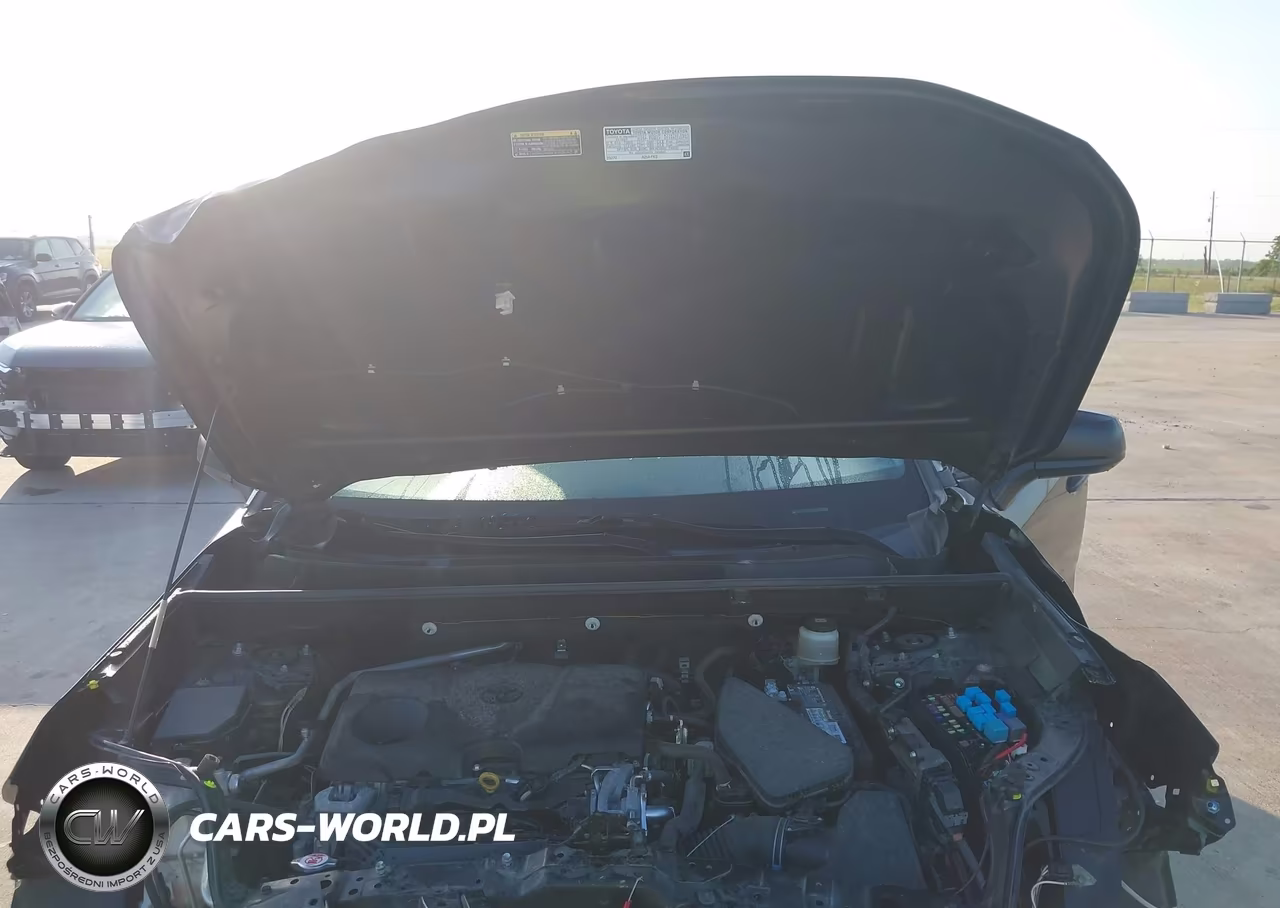 2019 Toyota Rav4 Le VIN:JTMH1RFV7KD503186 - 10