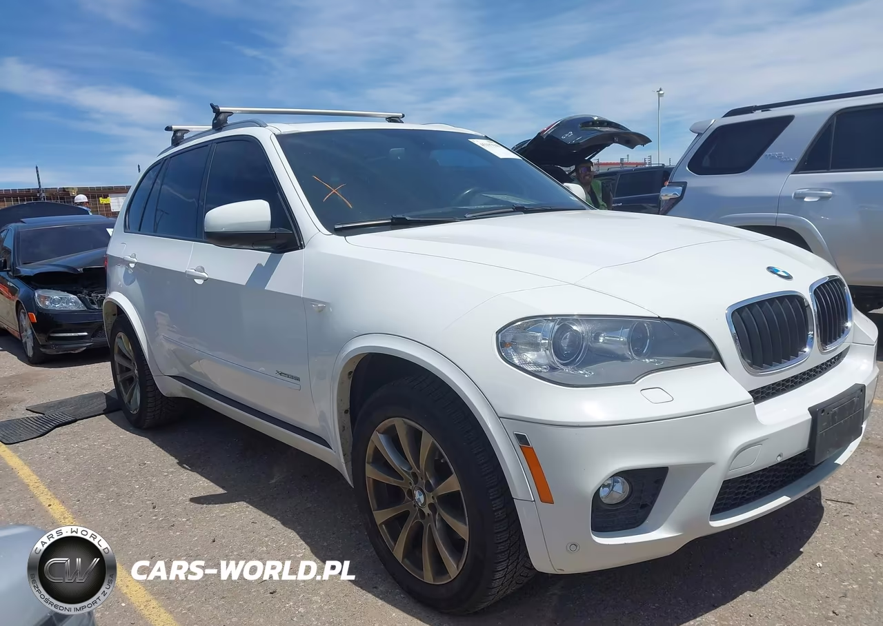 2013 BMW X5 xDrive35I-xDrive35I Premium-xDrive35I Sport Activity VIN:5UXZV4C56DL994261 - 13