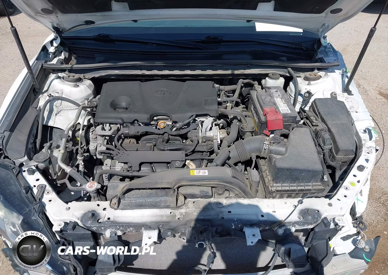 2019 Toyota Camry Le VIN:4T1B11HK3KU197724 - 10