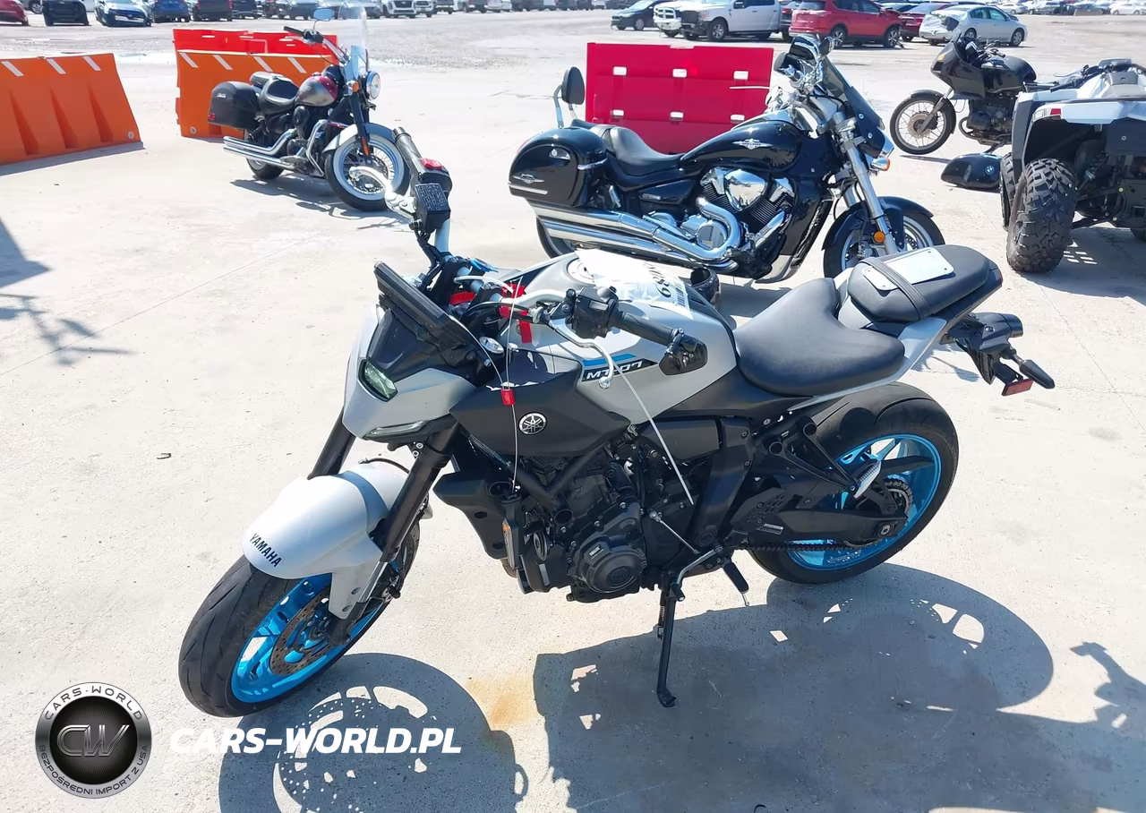 2025 Yamaha Mtn690 VIN:JYARM48E4SA001003 - 2