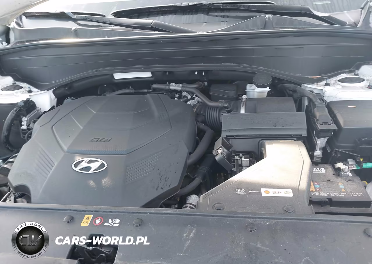 2024 Hyundai Palisade Limited VIN:KM8R5DGE9RU766862 - 10