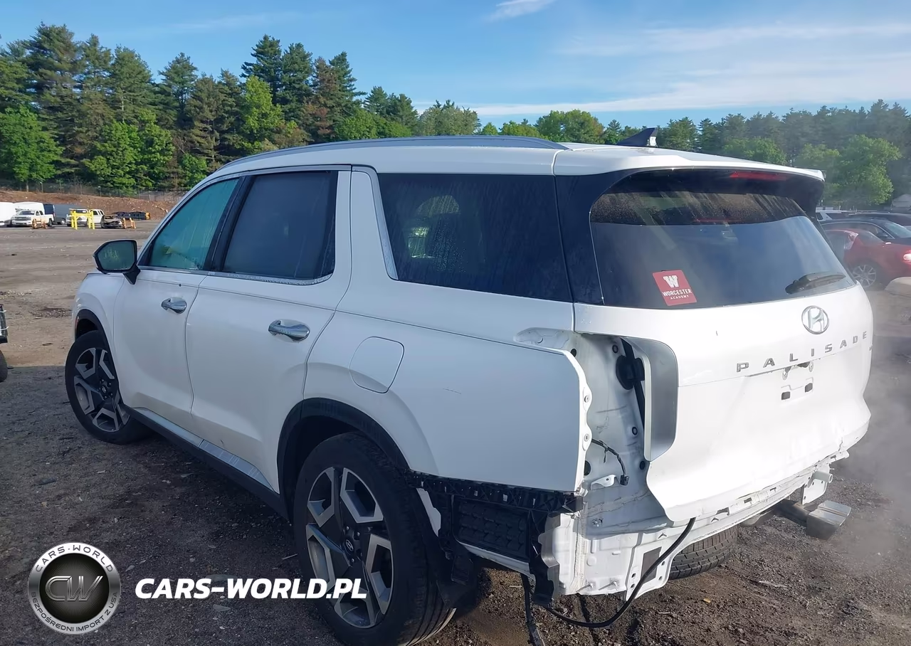 2024 Hyundai Palisade Limited VIN:KM8R5DGE9RU766862 - 14