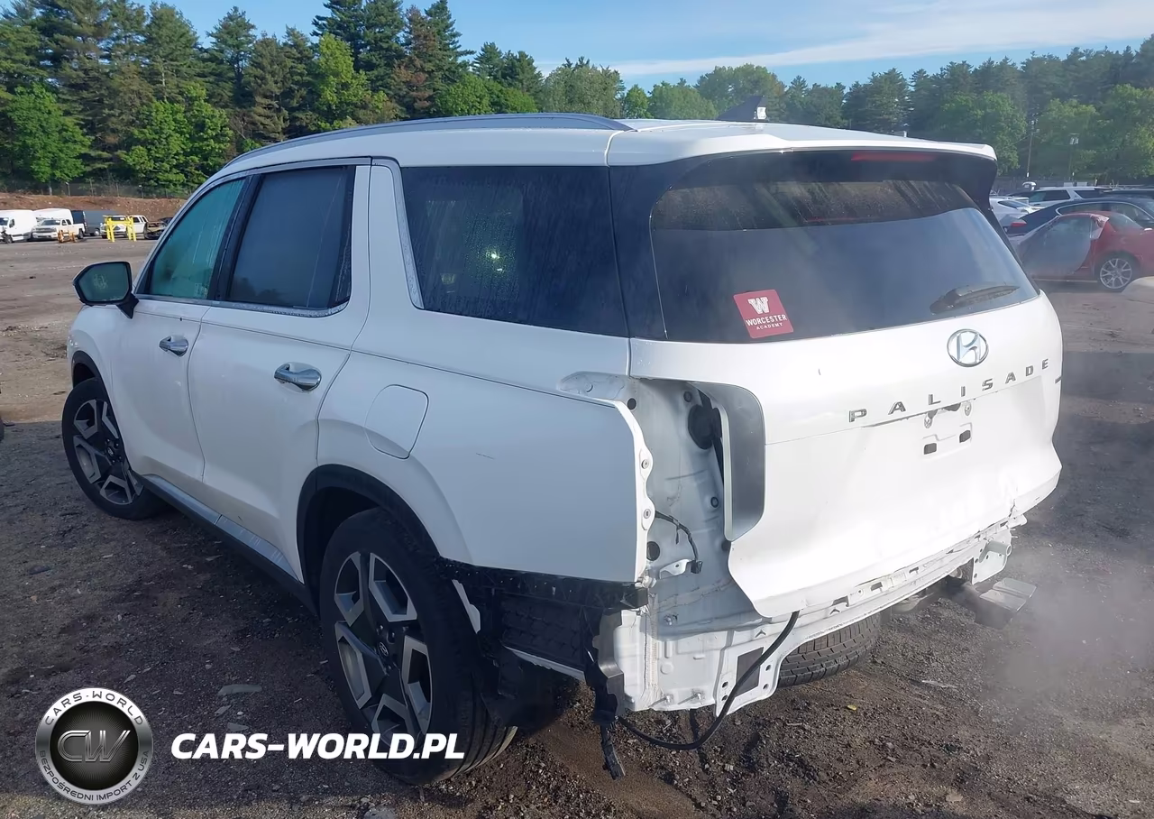 2024 Hyundai Palisade Limited VIN:KM8R5DGE9RU766862 - 3