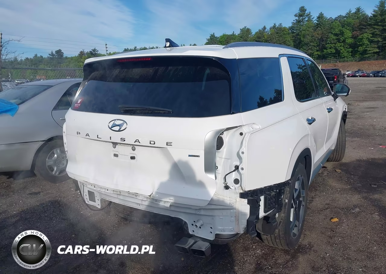 2024 Hyundai Palisade Limited VIN:KM8R5DGE9RU766862 - 4