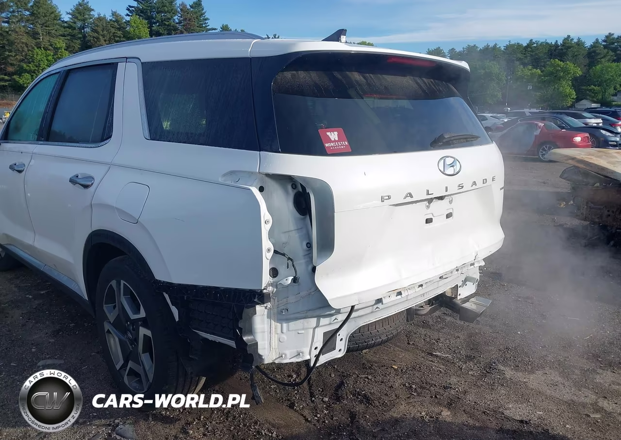 2024 Hyundai Palisade Limited VIN:KM8R5DGE9RU766862 - 6