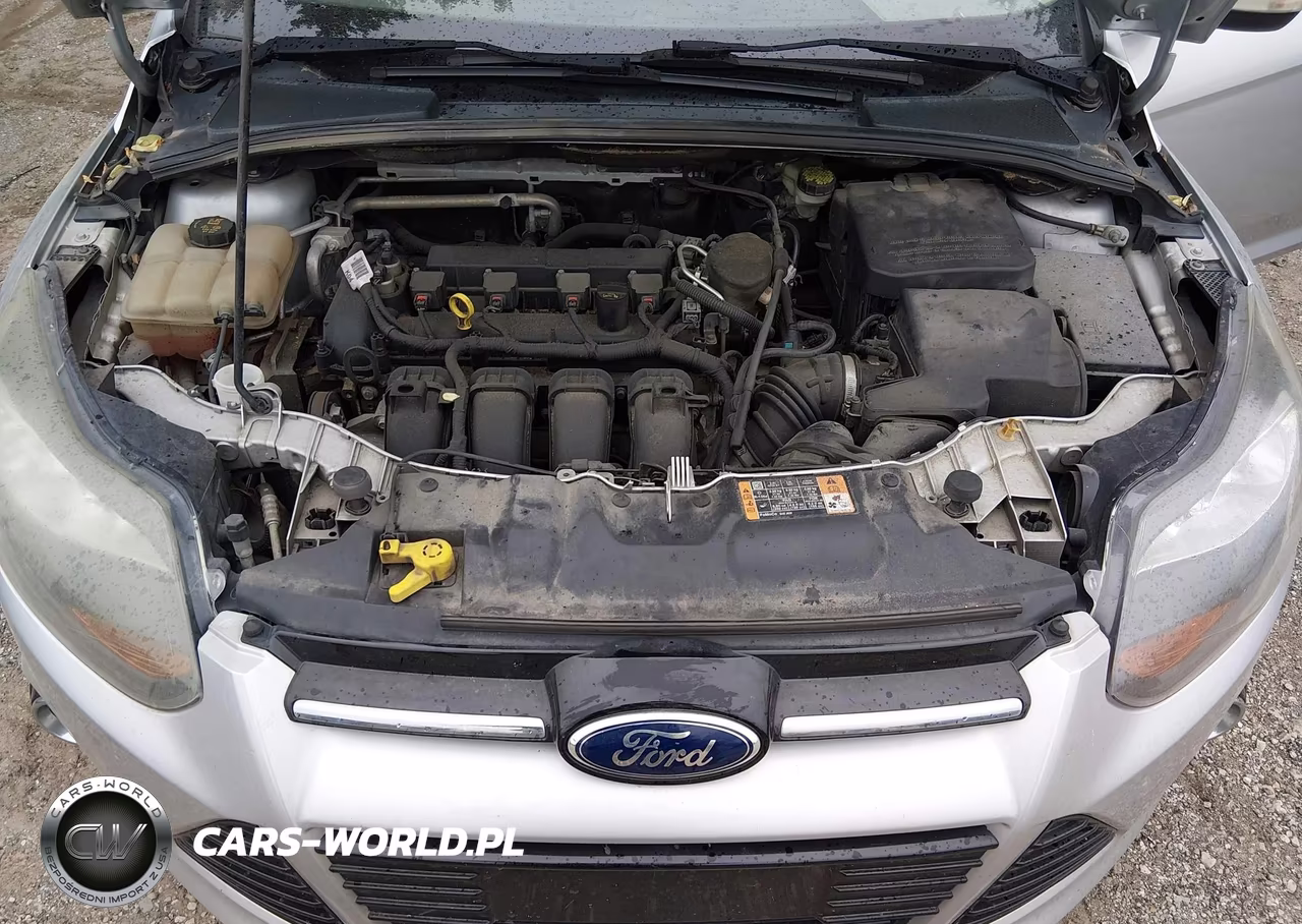 2014 Ford Focus Titanium VIN:1FADP3N26EL397752 - 10