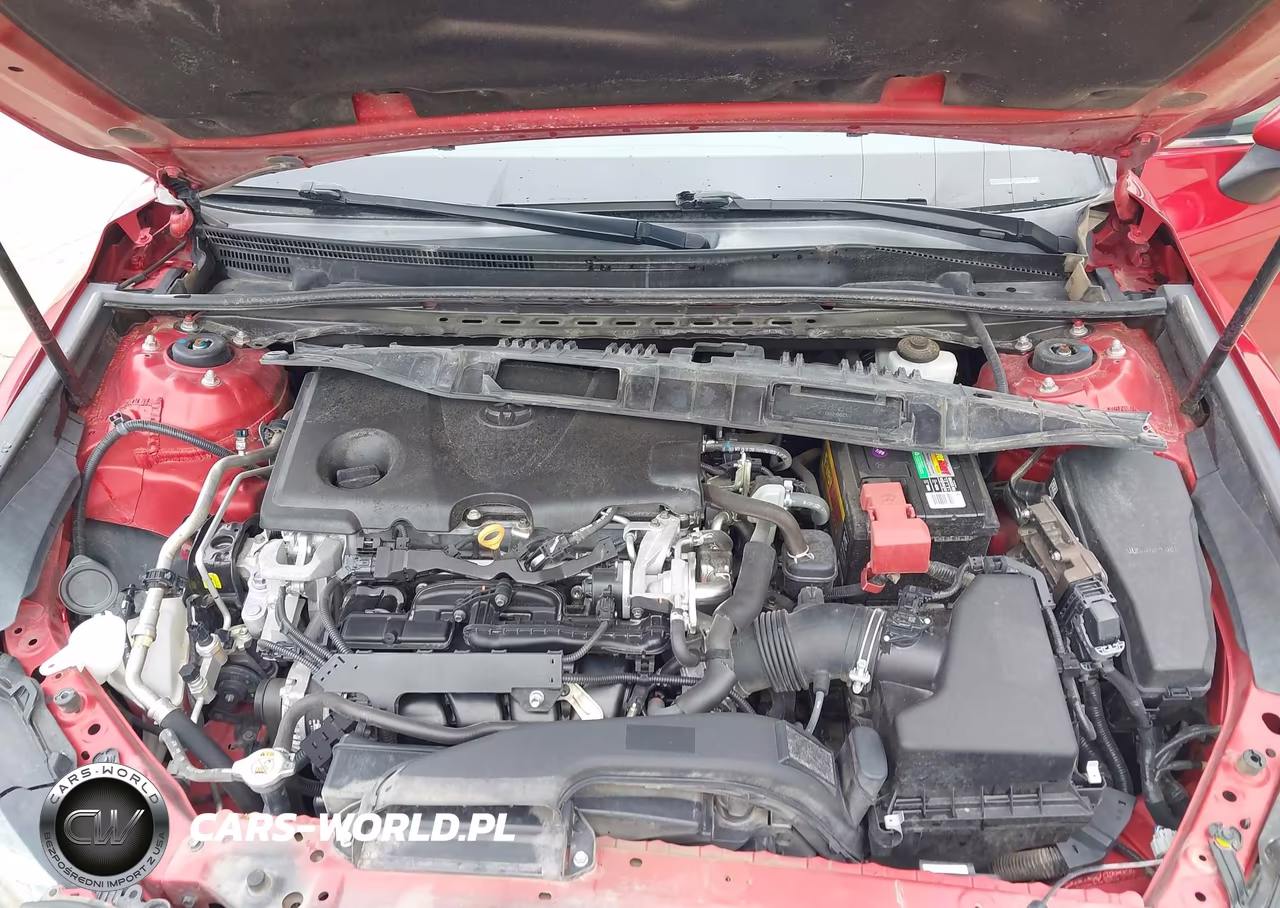 2019 Toyota Camry Se VIN:4T1B11HK8KU171135 - 10