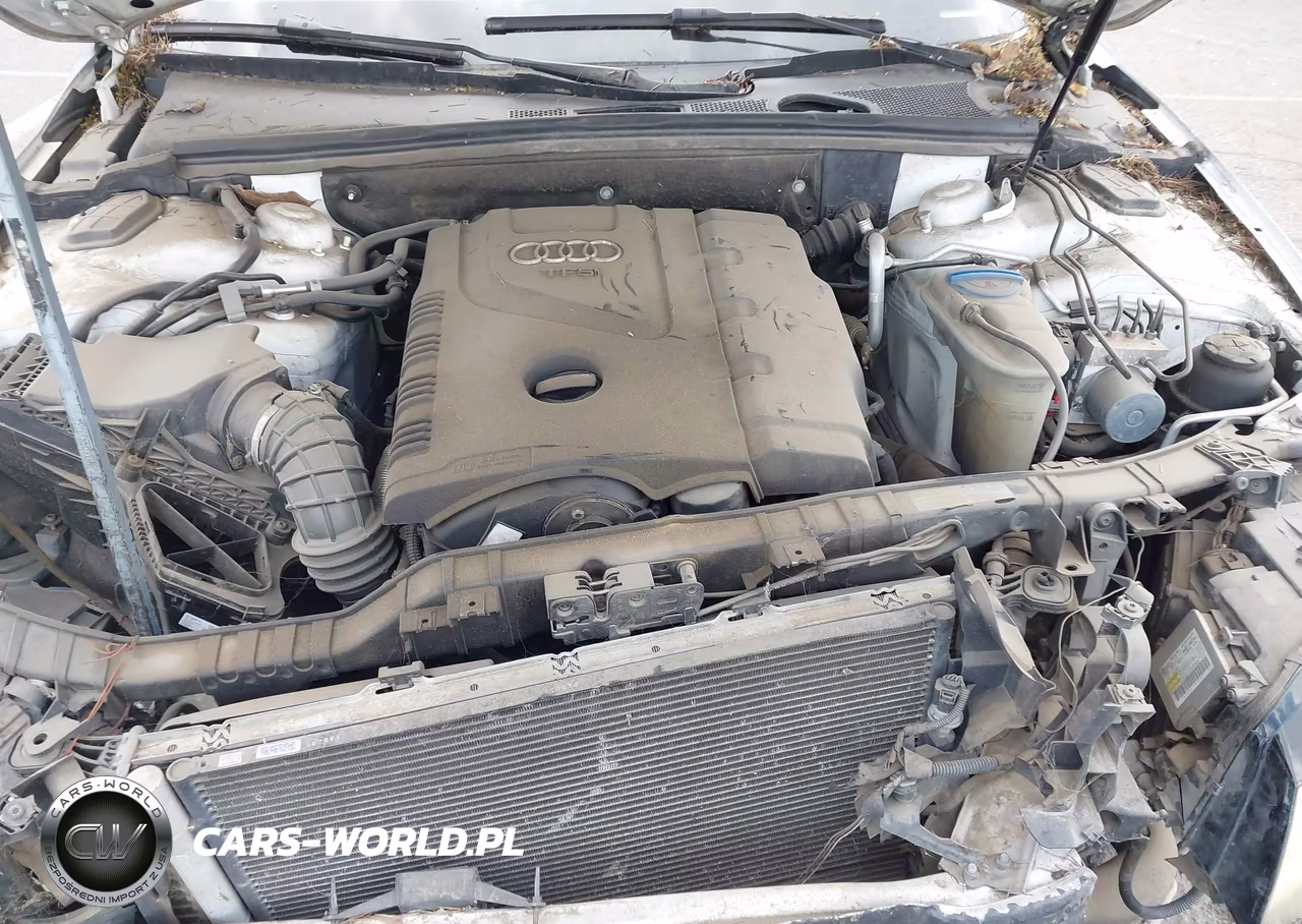 2010 Audi A4 2.0T Premium VIN:WAUFFAFL1AN021215 - 10