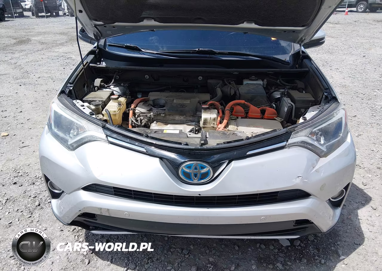 2016 Toyota Rav4 Hybrid Xle VIN:JTMRJREV9GD020151 - 10
