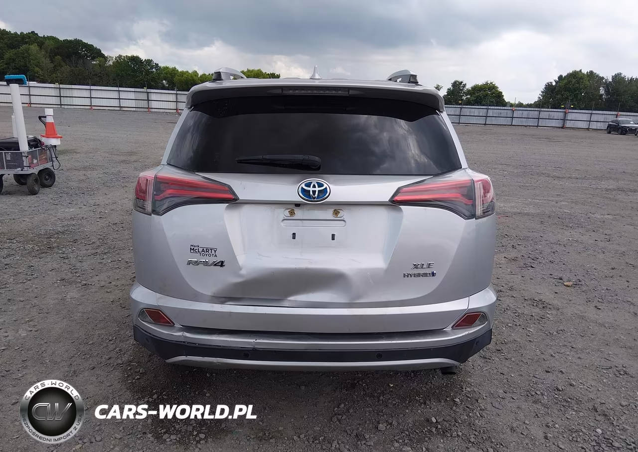 2016 Toyota Rav4 Hybrid Xle VIN:JTMRJREV9GD020151 - 17