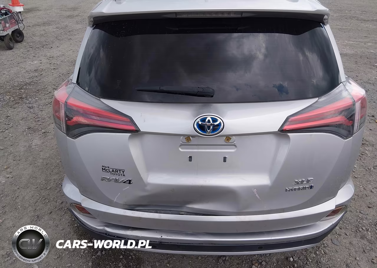 2016 Toyota Rav4 Hybrid Xle VIN:JTMRJREV9GD020151 - 19