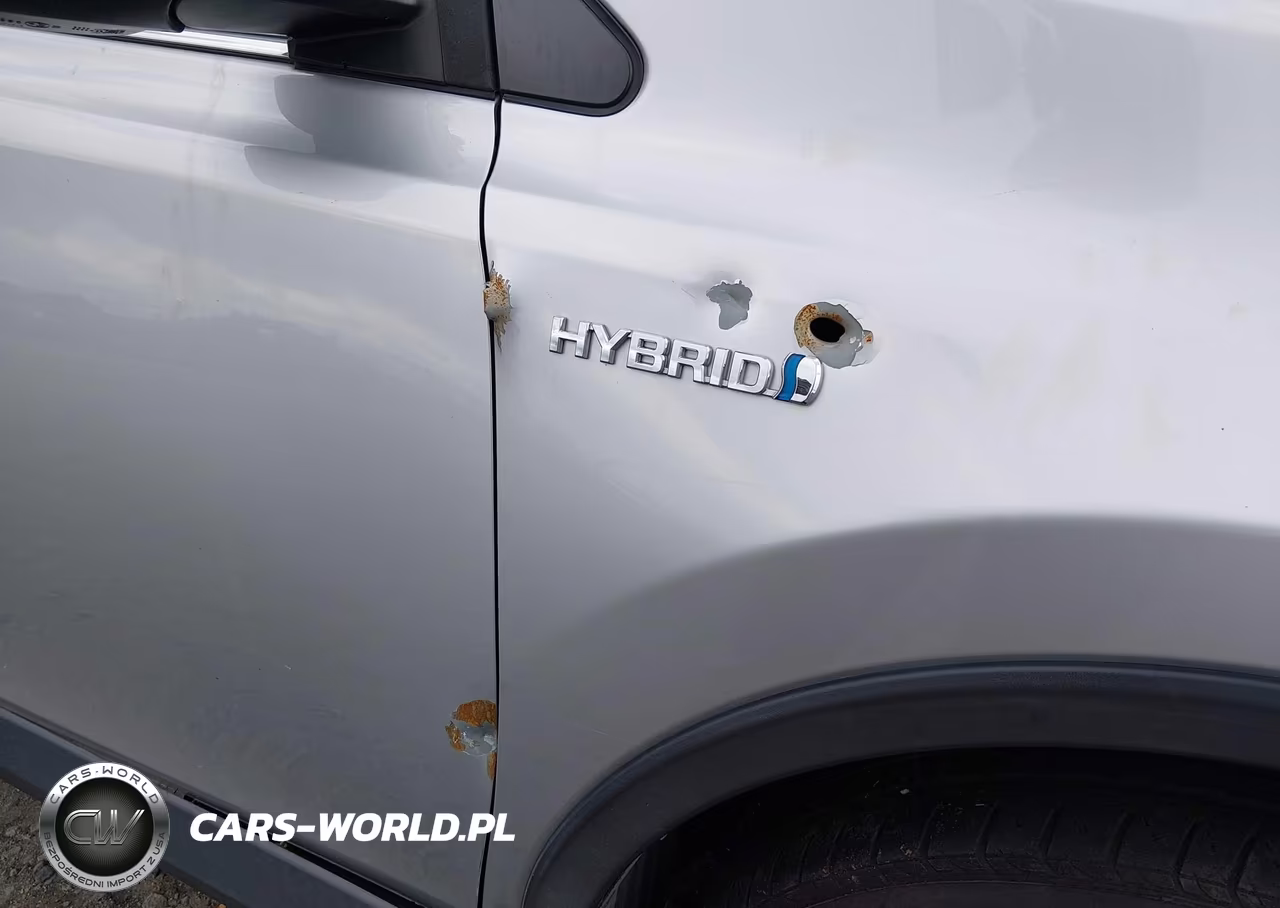 2016 Toyota Rav4 Hybrid Xle VIN:JTMRJREV9GD020151 - 20