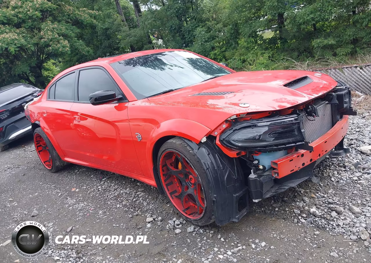 2023 Dodge Charger Srt Hellcat Redeye Widebody VIN:2C3CDXL95PH594499 - 14