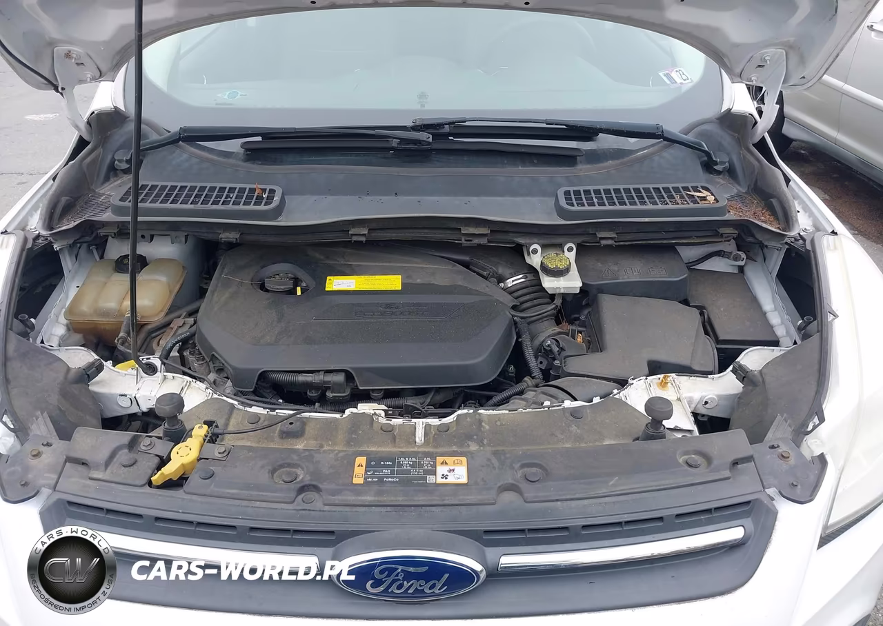 2014 Ford Escape Se VIN:1FMCU9GX9EUB11456 - 10