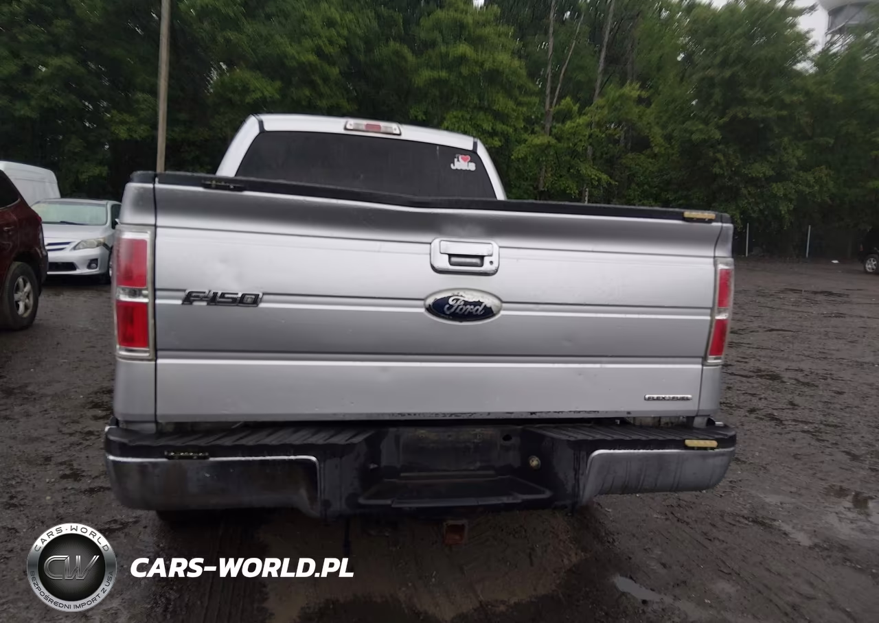2011 Ford F-150 Xlt VIN:1FTEX1CM3BFB39612 - 16