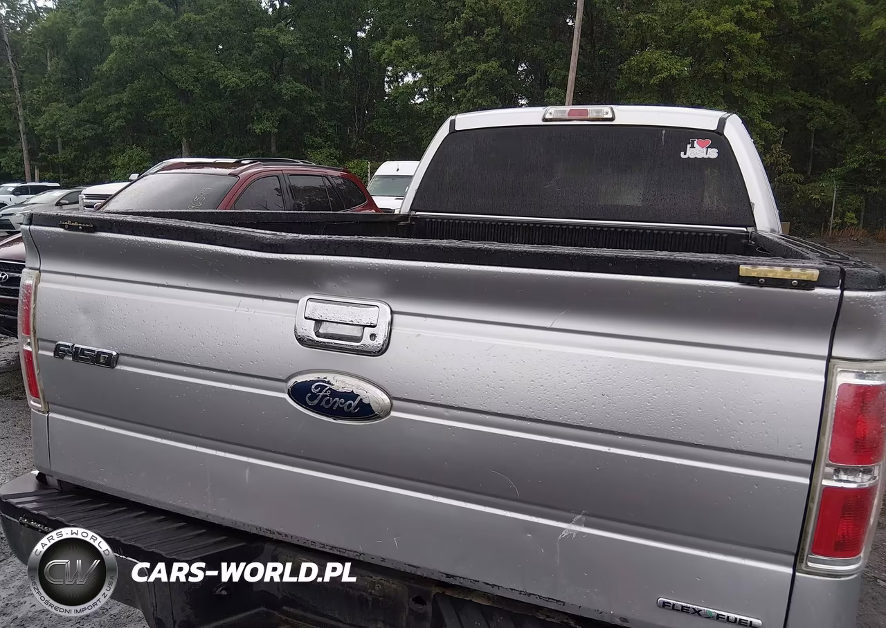 2011 Ford F-150 Xlt VIN:1FTEX1CM3BFB39612 - 6