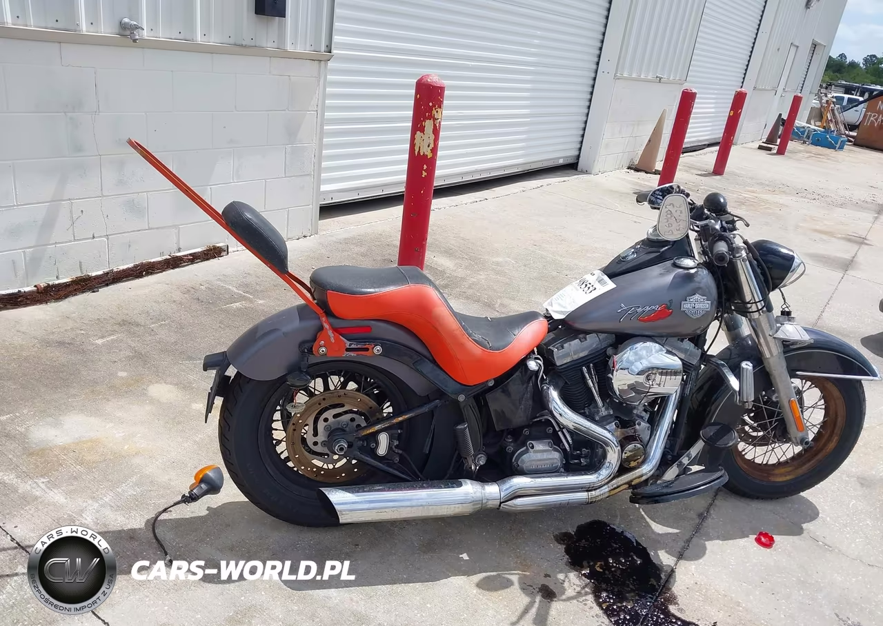 2014 Harley-Davidson Fls Softail Slim VIN:1HD1JRV10EB044016 - 11